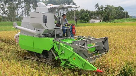 arroz_colheitadeira-de-parcela_dia-de-campo_tecnologia_inovação